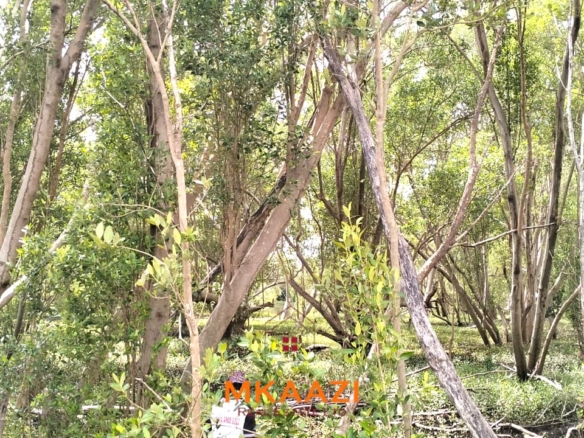 26,000 acres of prime land for sale in Lamu County, touching the LAPSET road connecting Lamu Port to Garissa, with a creek and mature mangrove forest. Asking KSh 230,000 per acre.