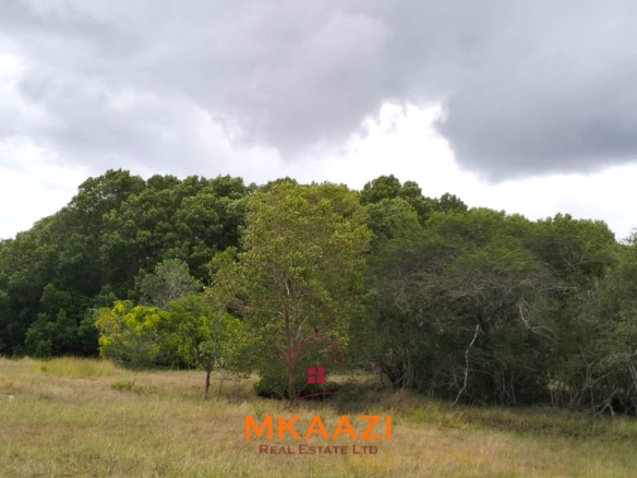 26,000 acres of prime land for sale in Lamu County, touching the LAPSET road connecting Lamu Port to Garissa, with a creek and mature mangrove forest. Asking KSh 230,000 per acre.