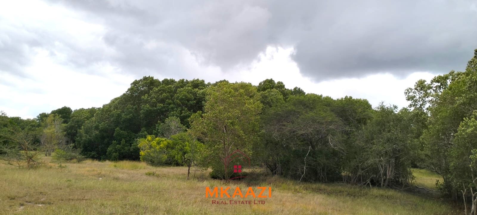 26,000 Acres for Sale in Lamu | LAPSET Corridor 26,000 acres of prime land for sale in Lamu County, touching the LAPSET road connecting Lamu Port to Garissa, with a creek and mature mangrove forest. Asking KSh 230,000 per acre.