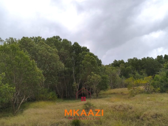 26,000 acres of prime land for sale in Lamu County, touching the LAPSET road connecting Lamu Port to Garissa, with a creek and mature mangrove forest. Asking KSh 230,000 per acre.
