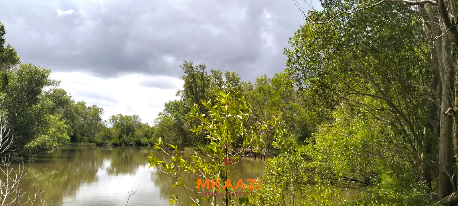 26,000 Acres for Sale in Lamu | LAPSET Corridor26,000 Acres for Sale in Lamu | LAPSET Corridor26,000 Acres for Sale in Lamu | LAPSET Corridor26,000 Acres for Sale in Lamu | LAPSET Corridor26,000 Acres for Sale in Lamu | LAPSET Corridor26,000 Acres for Sale in Lamu | LAPSET Corridor26,000 Acres for Sale in Lamu | LAPSET Corridor26,000 Acres for Sale in Lamu | LAPSET Corridor26,000 Acres for Sale in Lamu | LAPSET Corridor26,000 Acres for Sale in Lamu | LAPSET Corridor26,000 Acres for Sale in Lamu | LAPSET Corridor26,000 Acres for Sale in Lamu | LAPSET Corridor26,000 Acres for Sale in Lamu | LAPSET Corridor26,000 Acres for Sale in Lamu | LAPSET Corridor26,000 Acres for Sale in Lamu | LAPSET Corridor26,000 Acres for Sale in Lamu | LAPSET Corridor26,000 Acres for Sale in Lamu | LAPSET Corridor26,000 Acres for Sale in Lamu | LAPSET Corridor26,000 Acres for Sale in Lamu | LAPSET Corridor 26,000 acres of prime land for sale in Lamu County, touching the LAPSET road connecting Lamu Port to Garissa, with a creek and mature mangrove forest. Asking KSh 230,000 per acre.