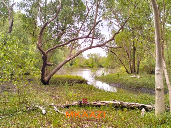 26,000 acres of prime land for sale in Lamu County, touching the LAPSET road connecting Lamu Port to Garissa, with a creek and mature mangrove forest. Asking KSh 230,000 per acre.