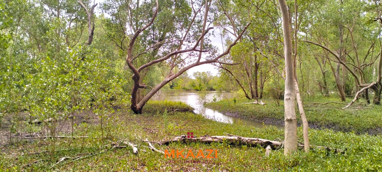 26,000 Acres for Sale in Lamu | LAPSET Corridor 26,000 acres of prime land for sale in Lamu County, touching the LAPSET road connecting Lamu Port to Garissa, with a creek and mature mangrove forest. Asking KSh 230,000 per acre.