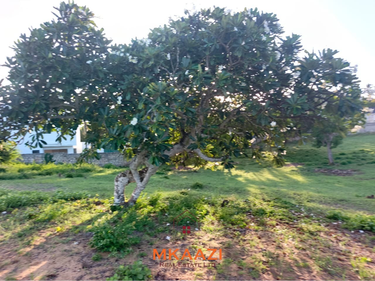 2 Acres First-Row Beachfront Land at Bofa Beach 2-acre first-row beachfront property for sale at Bofa Beach with direct sandy beach frontage. Offered as one parcel at KES 90 million, ideal for a luxury resort, hotel, villas or coastal development.