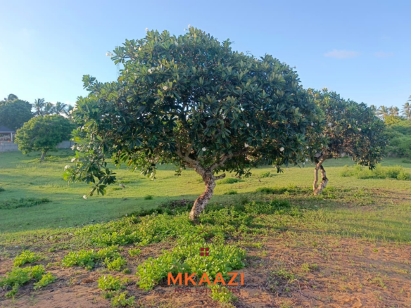 2-acre first-row beachfront property for sale at Bofa Beach with direct sandy beach frontage. Offered as one parcel at KES 90 million, ideal for a luxury resort, hotel, villas or coastal development.