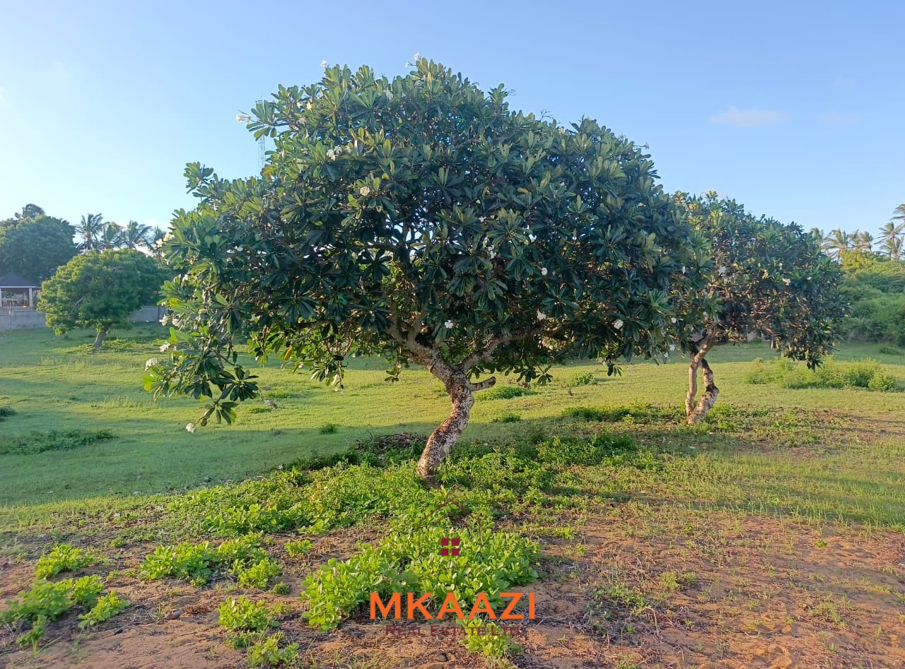 2 Acres First-Row Beachfront Land at Bofa Beach 2-acre first-row beachfront property for sale at Bofa Beach with direct sandy beach frontage. Offered as one parcel at KES 90 million, ideal for a luxury resort, hotel, villas or coastal development.