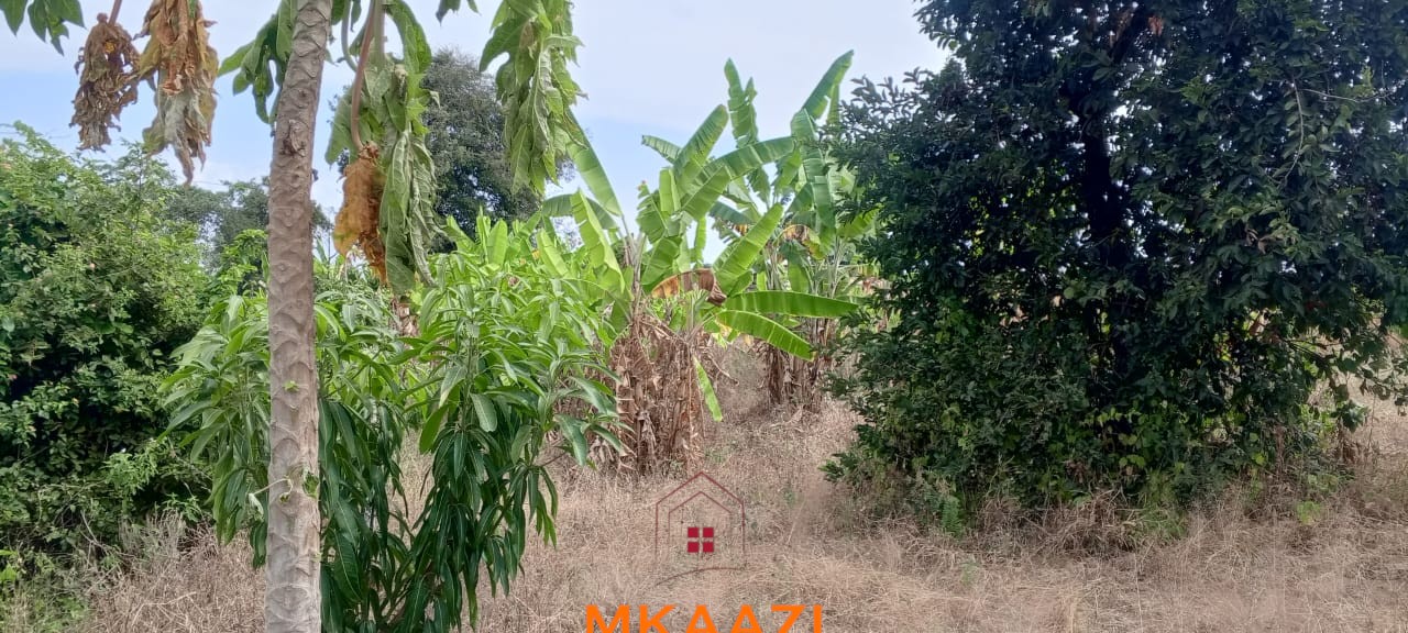 3-Acre Developed Farm for Sale in Moshi Tanzania 3-acre developed farm for sale in Kimashuku Mnadani, Moshi, Tanzania, featuring a farmhouse, 140-metre borehole, greenhouse, 200 apple trees, fruit trees and 5,000-litre water tank.