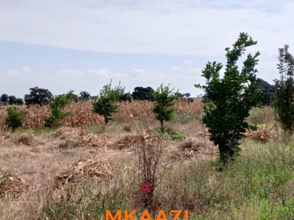3-acre developed farm for sale in Kimashuku Mnadani, Moshi, Tanzania, featuring a farmhouse, 140-metre borehole, greenhouse, 200 apple trees, fruit trees and 5,000-litre water tank.
