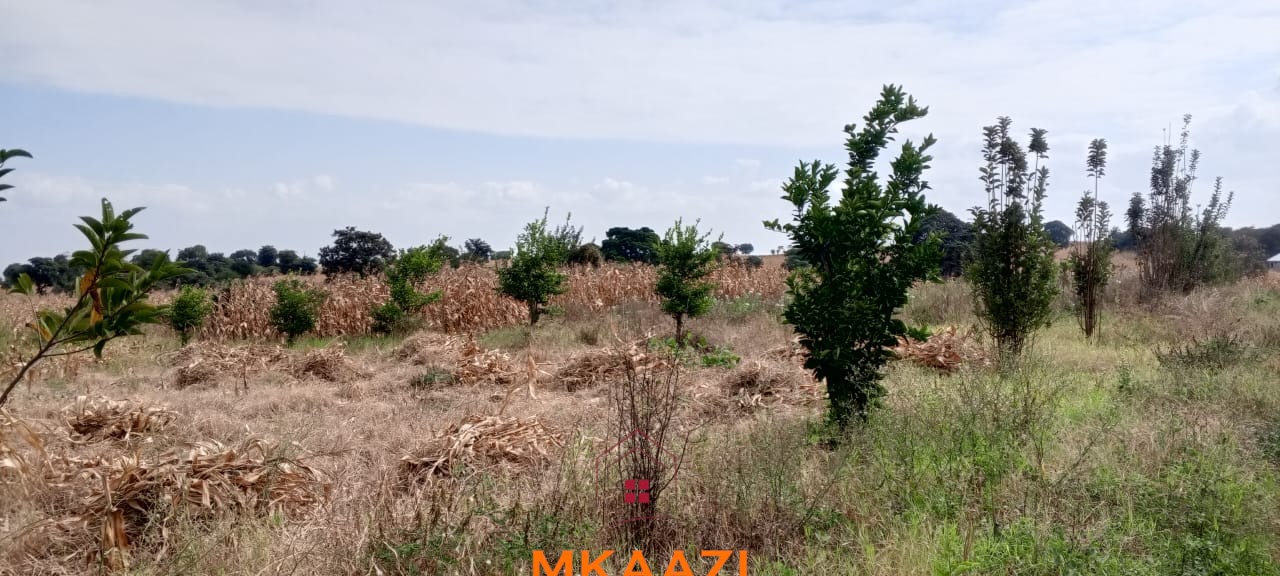 3-Acre Developed Farm for Sale in Moshi Tanzania 3-acre developed farm for sale in Kimashuku Mnadani, Moshi, Tanzania, featuring a farmhouse, 140-metre borehole, greenhouse, 200 apple trees, fruit trees and 5,000-litre water tank.