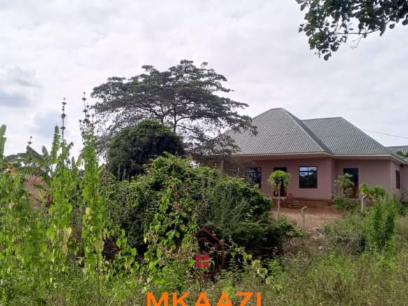 3-acre developed farm for sale in Kimashuku Mnadani, Moshi, Tanzania, featuring a farmhouse, 140-metre borehole, greenhouse, 200 apple trees, fruit trees and 5,000-litre water tank.