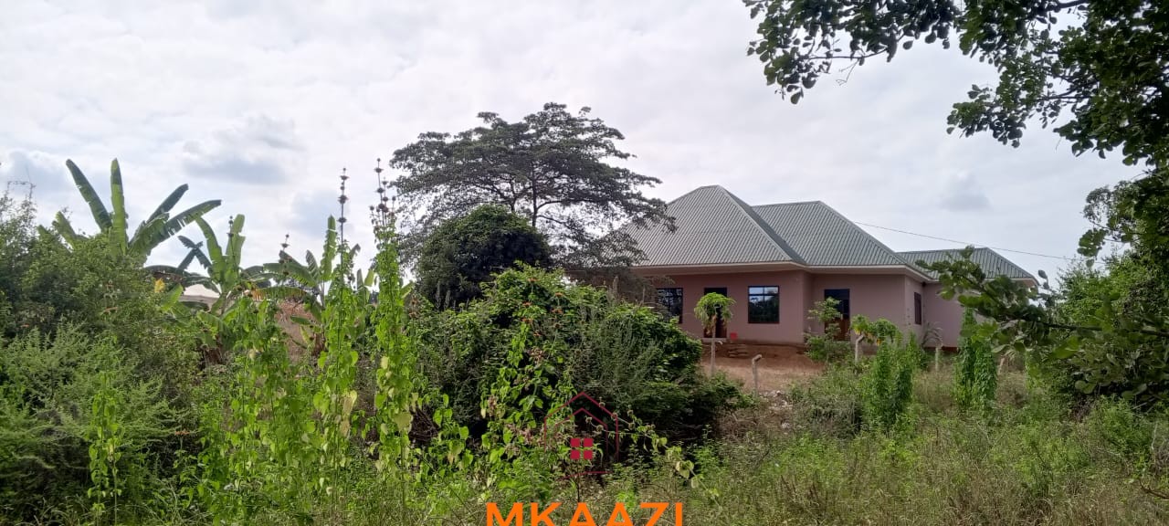3-Acre Developed Farm for Sale in Moshi Tanzania 3-acre developed farm for sale in Kimashuku Mnadani, Moshi, Tanzania, featuring a farmhouse, 140-metre borehole, greenhouse, 200 apple trees, fruit trees and 5,000-litre water tank.