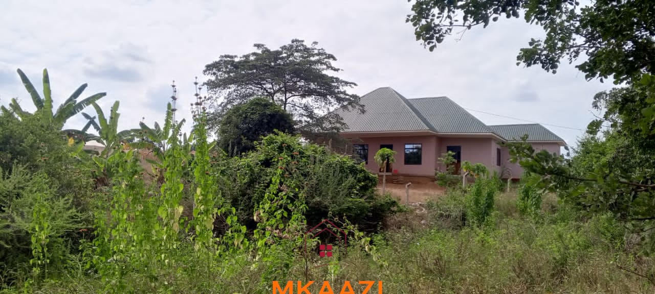 3-Acre Developed Farm for Sale in Moshi Tanzania 3-acre developed farm for sale in Kimashuku Mnadani, Moshi, Tanzania, featuring a farmhouse, 140-metre borehole, greenhouse, 200 apple trees, fruit trees and 5,000-litre water tank.
