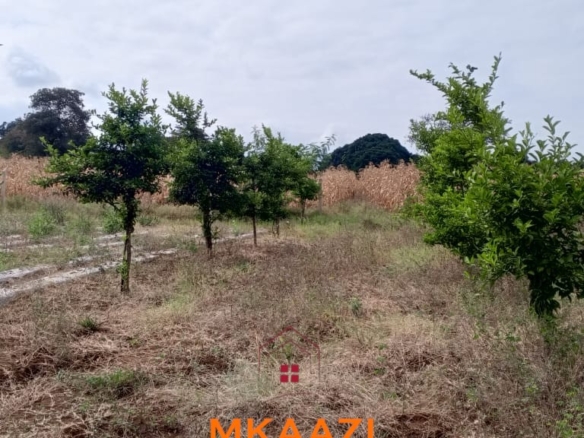 3-acre developed farm for sale in Kimashuku Mnadani, Moshi, Tanzania, featuring a farmhouse, 140-metre borehole, greenhouse, 200 apple trees, fruit trees and 5,000-litre water tank.