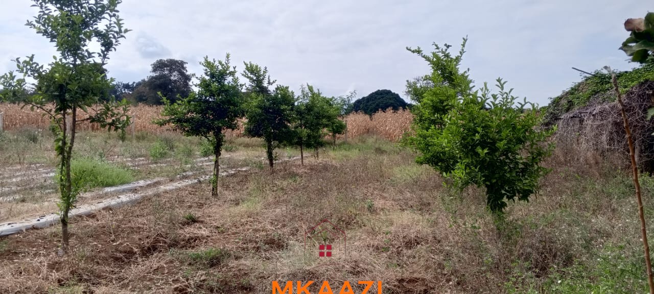 3-Acre Developed Farm for Sale in Moshi Tanzania 3-acre developed farm for sale in Kimashuku Mnadani, Moshi, Tanzania, featuring a farmhouse, 140-metre borehole, greenhouse, 200 apple trees, fruit trees and 5,000-litre water tank.