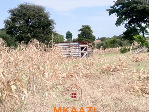 3-acre developed farm for sale in Kimashuku Mnadani, Moshi, Tanzania, featuring a farmhouse, 140-metre borehole, greenhouse, 200 apple trees, fruit trees and 5,000-litre water tank.