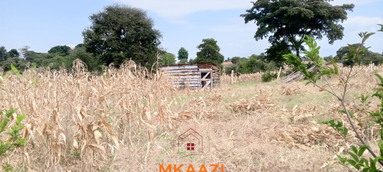 3-Acre Developed Farm for Sale in Moshi Tanzania 3-acre developed farm for sale in Kimashuku Mnadani, Moshi, Tanzania, featuring a farmhouse, 140-metre borehole, greenhouse, 200 apple trees, fruit trees and 5,000-litre water tank.