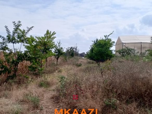 3-acre developed farm for sale in Kimashuku Mnadani, Moshi, Tanzania, featuring a farmhouse, 140-metre borehole, greenhouse, 200 apple trees, fruit trees and 5,000-litre water tank.