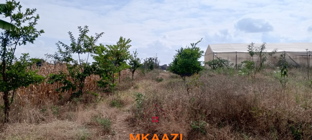 3-Acre Developed Farm for Sale in Moshi Tanzania 3-acre developed farm for sale in Kimashuku Mnadani, Moshi, Tanzania, featuring a farmhouse, 140-metre borehole, greenhouse, 200 apple trees, fruit trees and 5,000-litre water tank.