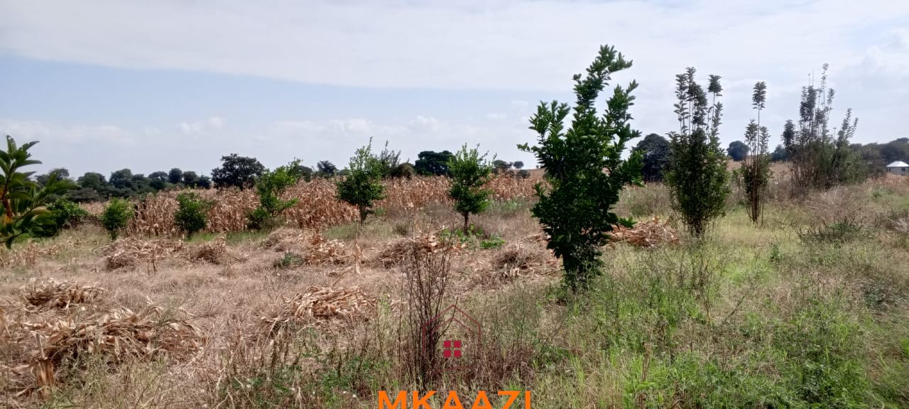 3-Acre Developed Farm for Sale in Moshi Tanzania 3-acre developed farm for sale in Kimashuku Mnadani, Moshi, Tanzania, featuring a farmhouse, 140-metre borehole, greenhouse, 200 apple trees, fruit trees and 5,000-litre water tank.