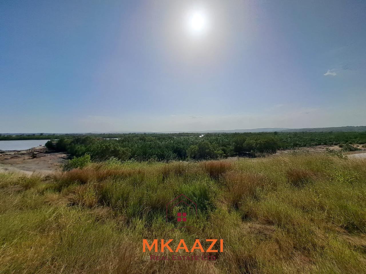 Prime 7.3-hectare road-frontage land for sale in Dongo Kundu, Mombasa, near the Mombasa–Kwale border and adjacent to mangrove forest.