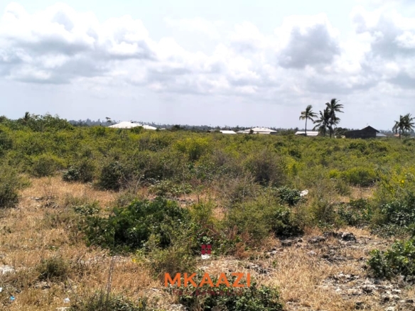 Prime 1-acre freehold road-frontage land for sale on Kanani Road in Watamu, Kilifi County.
