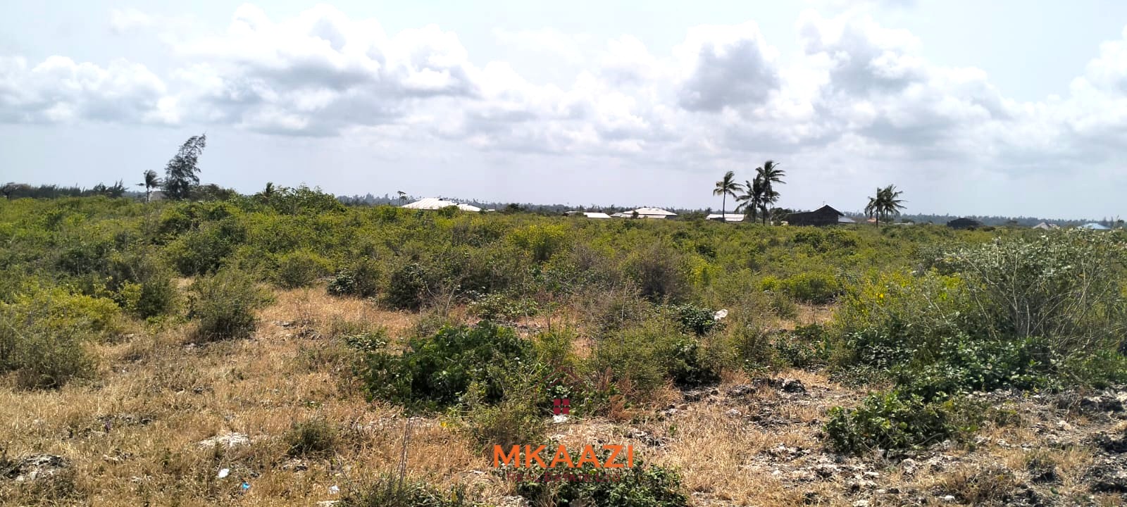 1 Acre for Sale on Kanani Road, Watamu Prime 1-acre freehold road-frontage land for sale on Kanani Road in Watamu, Kilifi County.