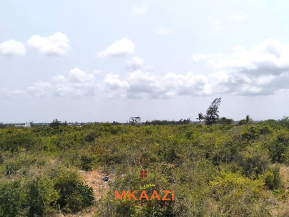 Prime 1-acre freehold road-frontage land for sale on Kanani Road in Watamu, Kilifi County.