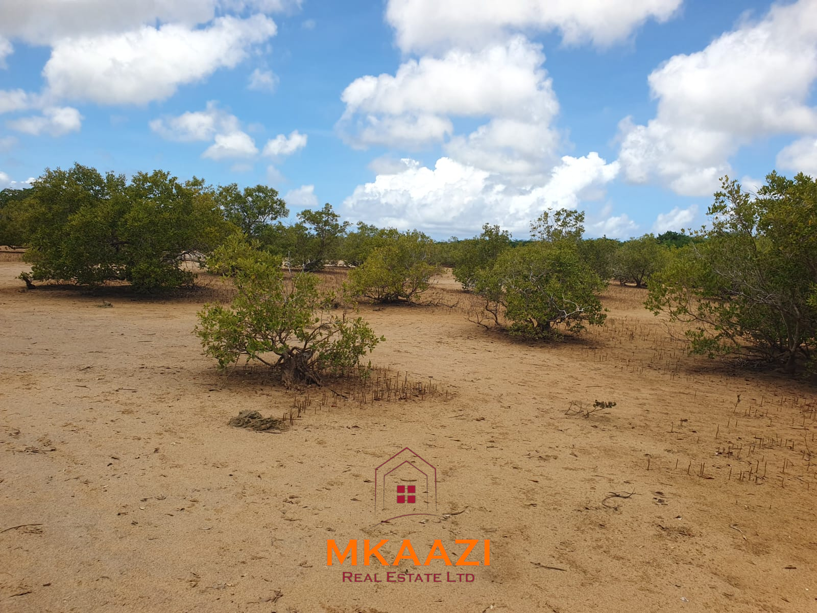 5.75 Acres Oceanfront Land for Sale in Manda Island Prime 5.75-acre oceanfront land for sale in Manda Island, Lamu, overlooking Lamu Port and surrounded by scenic coastal and mangrove views.