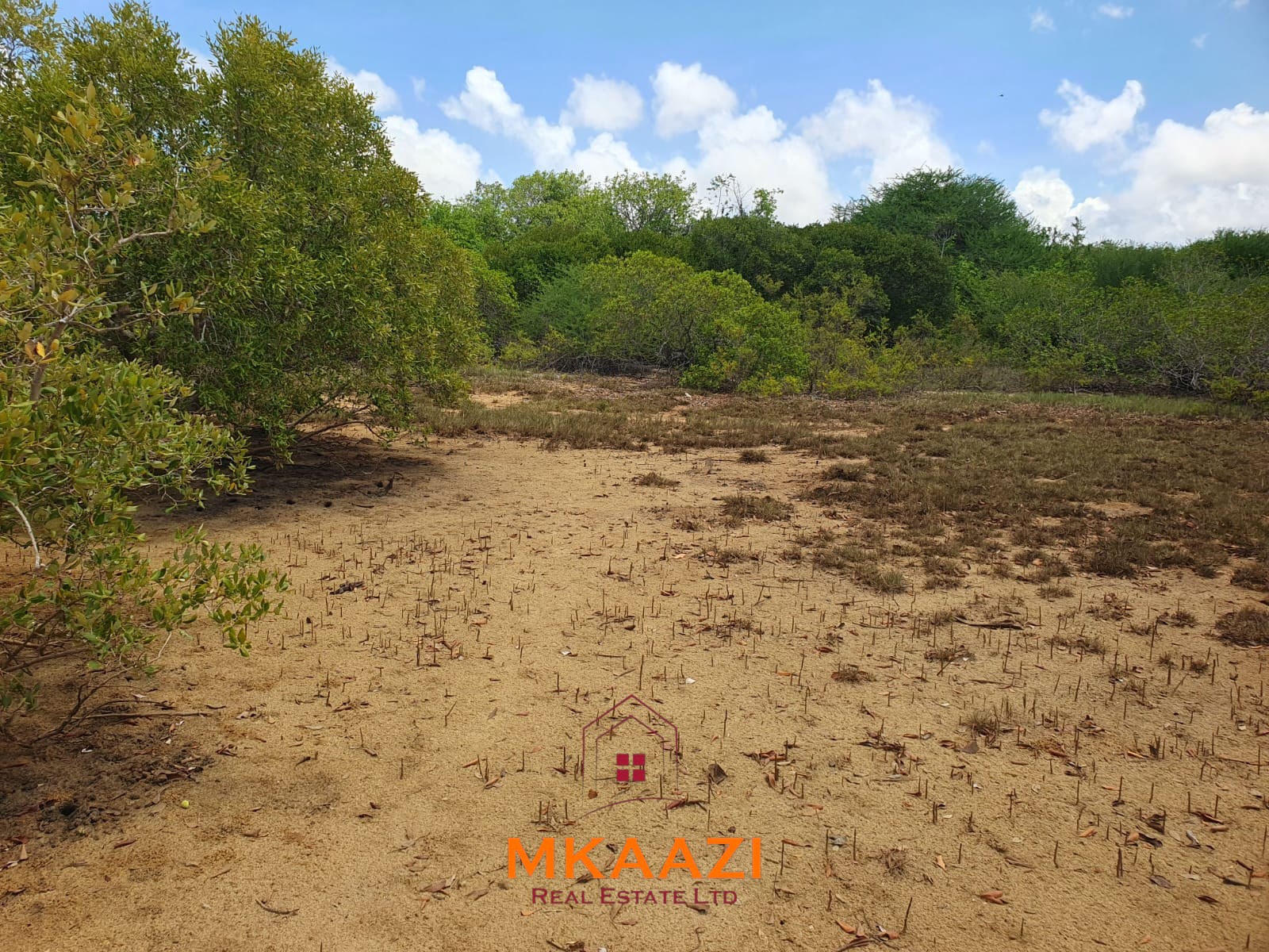 5.75 Acres Oceanfront Land for Sale in Manda Island Prime 5.75-acre oceanfront land for sale in Manda Island, Lamu, overlooking Lamu Port and surrounded by scenic coastal and mangrove views.