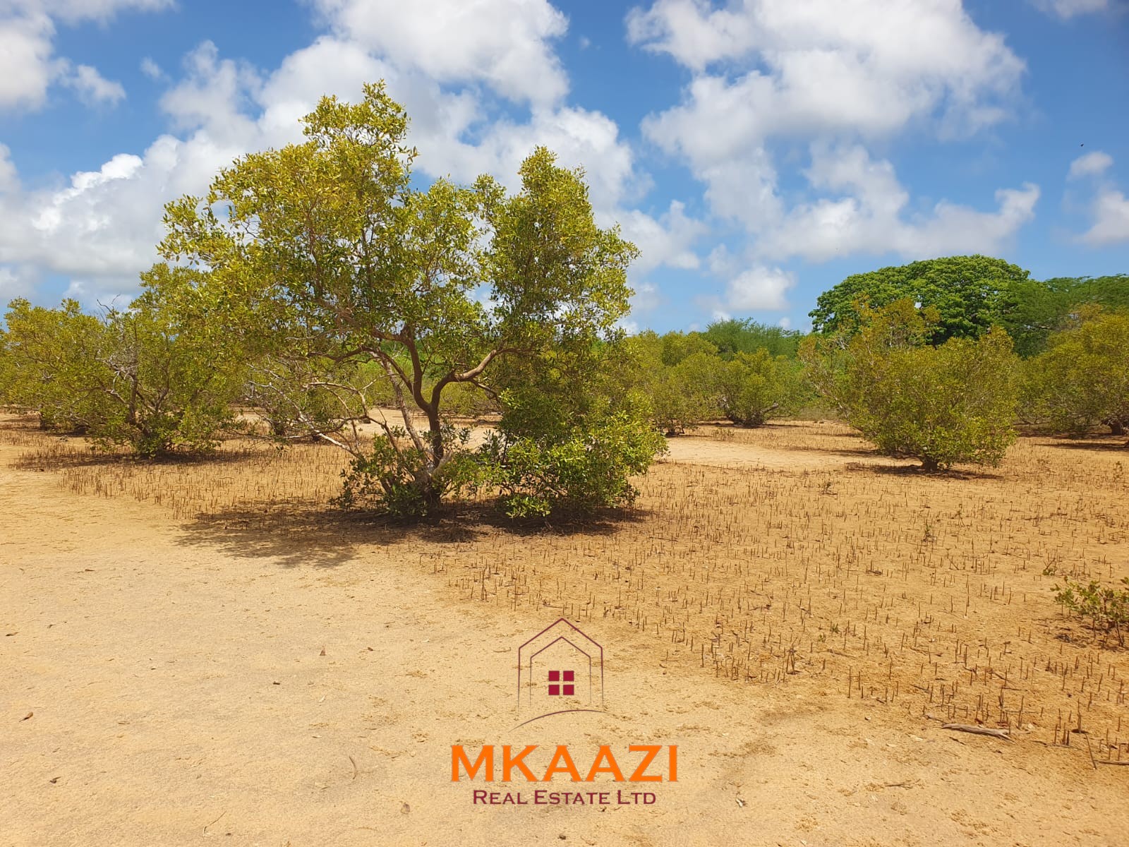 5.75 Acres Oceanfront Land for Sale in Manda Island Prime 5.75-acre oceanfront land for sale in Manda Island, Lamu, overlooking Lamu Port and surrounded by scenic coastal and mangrove views.