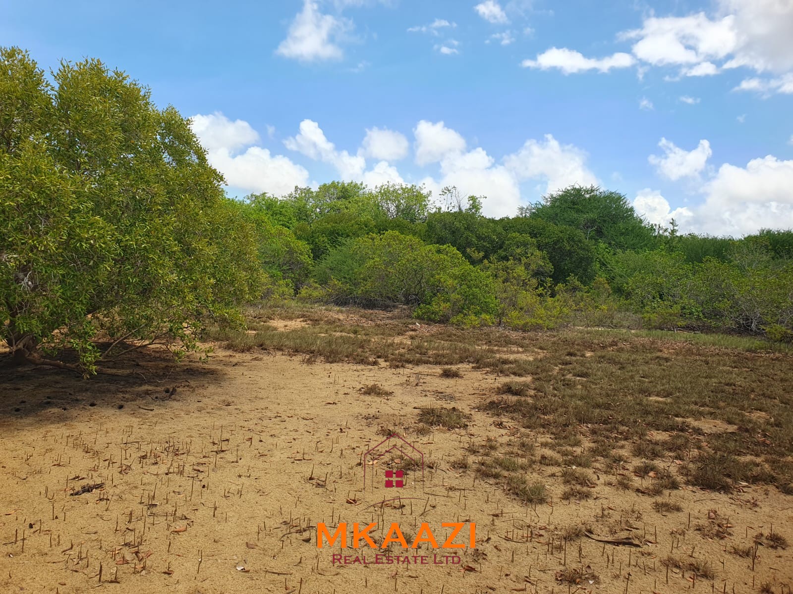 5.75 Acres Oceanfront Land for Sale in Manda Island Prime 5.75-acre oceanfront land for sale in Manda Island, Lamu, overlooking Lamu Port and surrounded by scenic coastal and mangrove views.