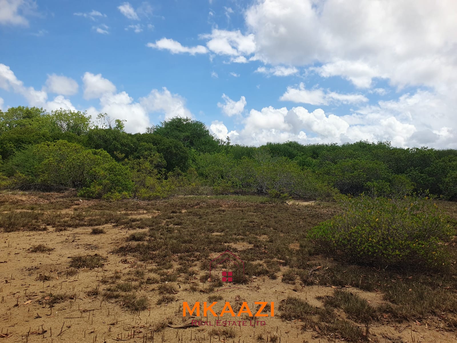 5.75 Acres Oceanfront Land for Sale in Manda Island Prime 5.75-acre oceanfront land for sale in Manda Island, Lamu, overlooking Lamu Port and surrounded by scenic coastal and mangrove views.