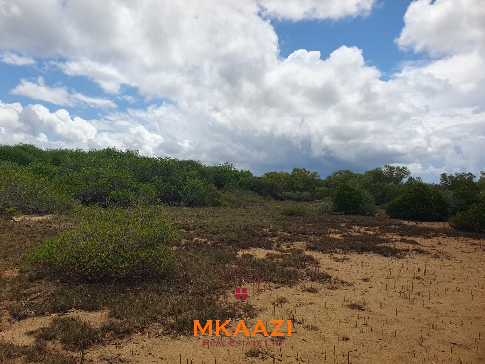 5.75 Acres Oceanfront Land for Sale in Manda Island Prime 5.75-acre oceanfront land for sale in Manda Island, Lamu, overlooking Lamu Port and surrounded by scenic coastal and mangrove views.