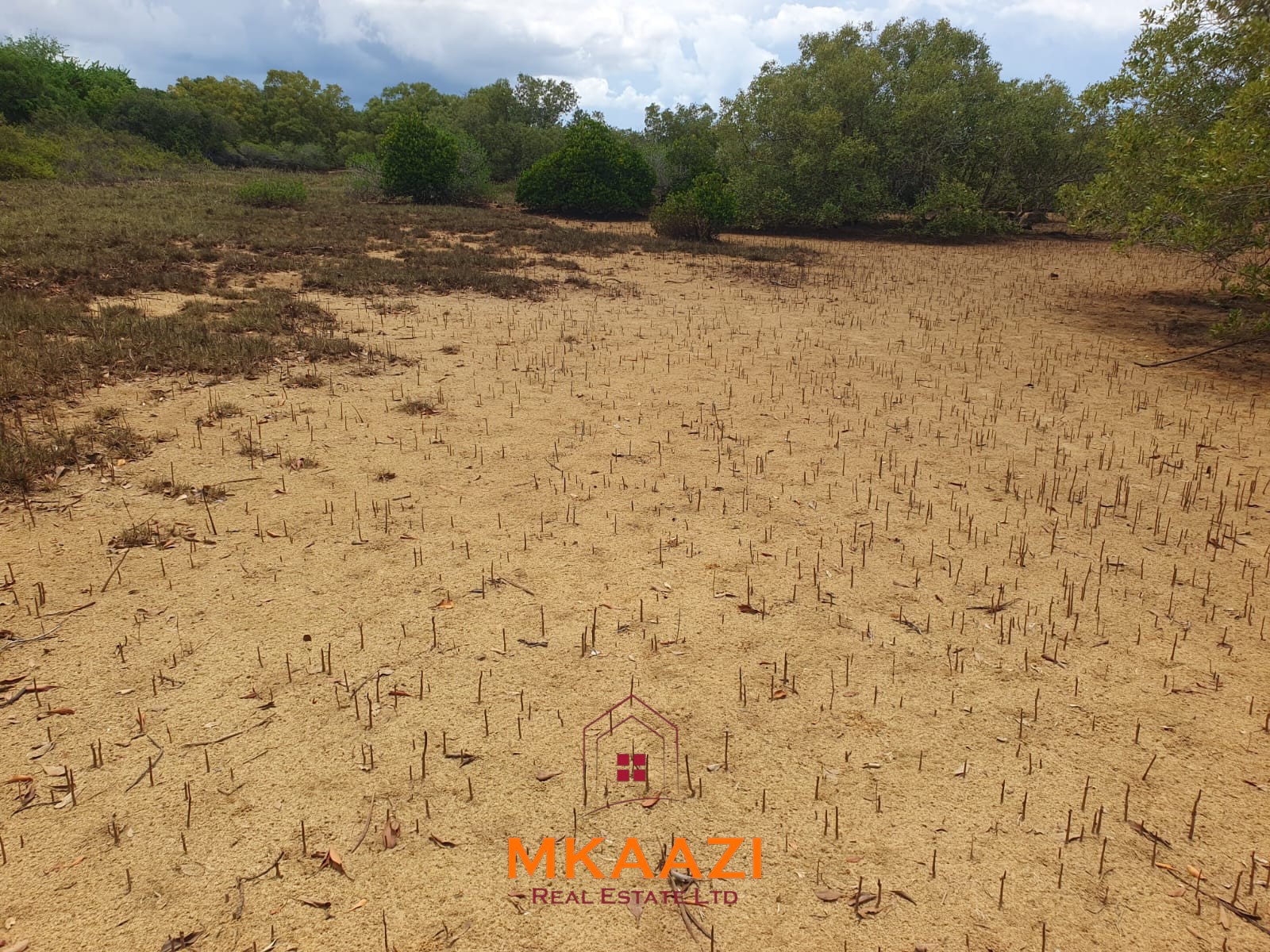 5.75 Acres Oceanfront Land for Sale in Manda Island Prime 5.75-acre oceanfront land for sale in Manda Island, Lamu, overlooking Lamu Port and surrounded by scenic coastal and mangrove views.
