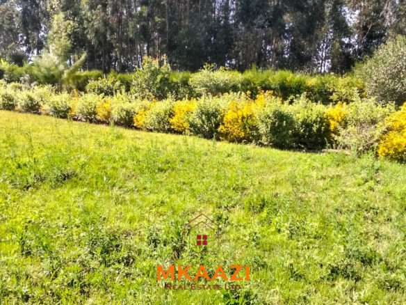 3.5-acre farm for sale in Ol Kalou with a 2-bedroom farmhouse, KPLC electricity, 70-foot fresh-water well and staff quarters.
