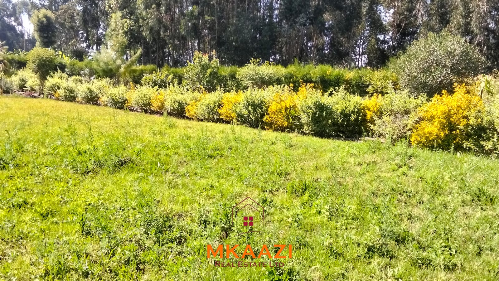 3.5-acre farm for sale in Ol Kalou with a 2-bedroom farmhouse, KPLC electricity, 70-foot fresh-water well and staff quarters.