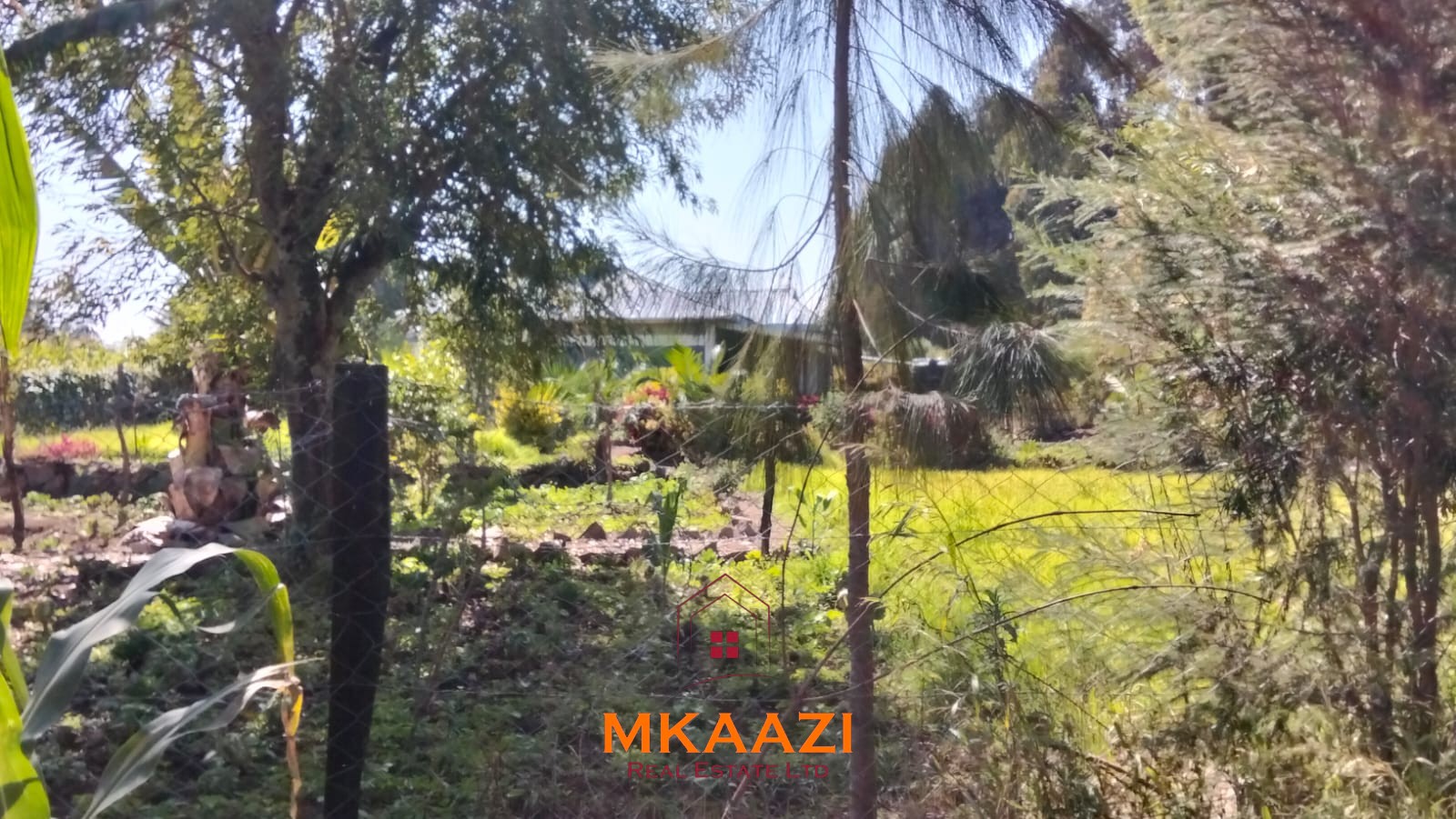 3.5-acre farm for sale in Ol Kalou with a 2-bedroom farmhouse, KPLC electricity, 70-foot fresh-water well and staff quarters.