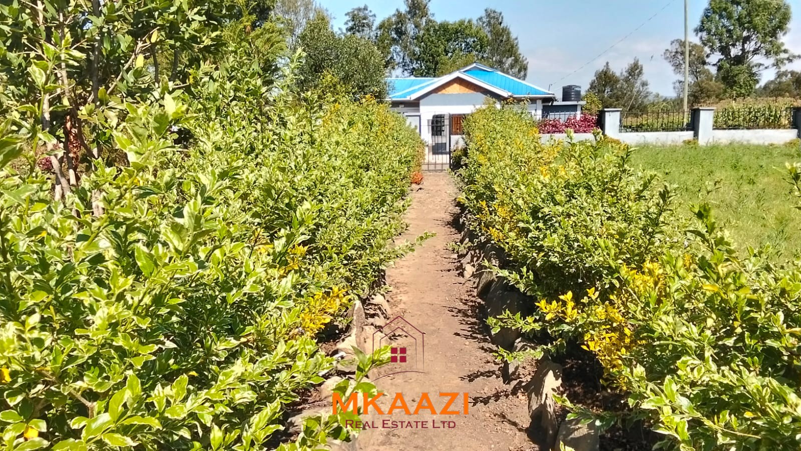 3.5-acre farm for sale in Ol Kalou with a 2-bedroom farmhouse, KPLC electricity, 70-foot fresh-water well and staff quarters.