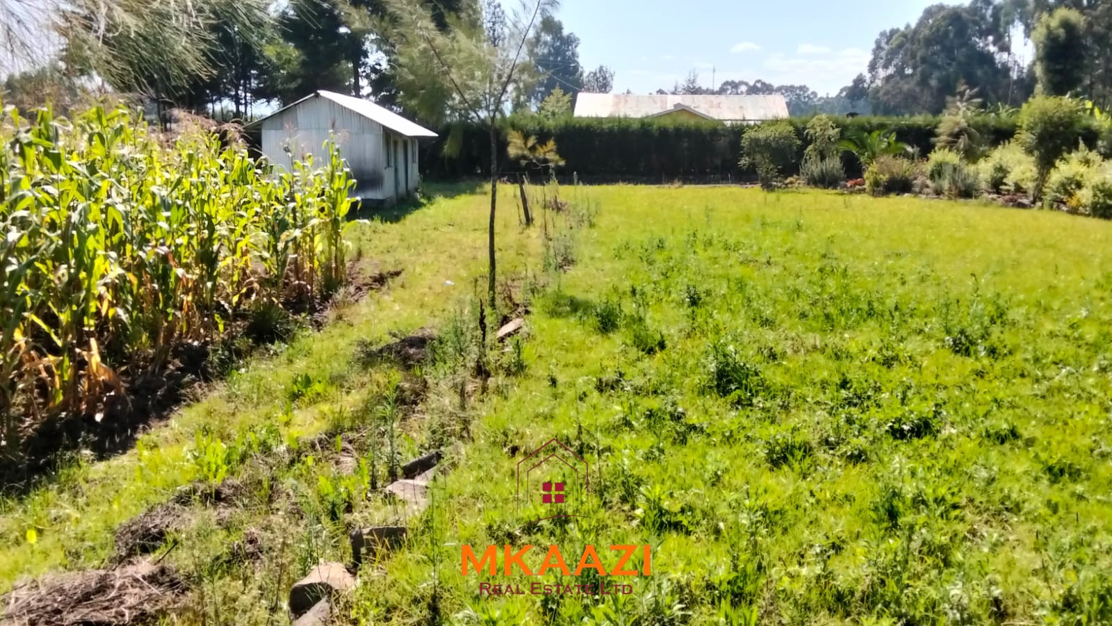 3.5-acre farm for sale in Ol Kalou with a 2-bedroom farmhouse, KPLC electricity, 70-foot fresh-water well and staff quarters.
