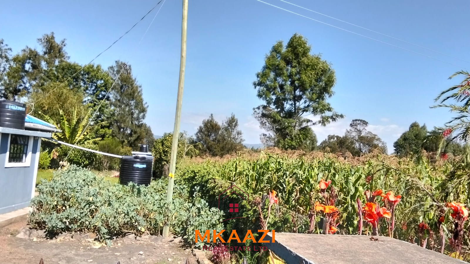 3.5-acre farm for sale in Ol Kalou with a 2-bedroom farmhouse, KPLC electricity, 70-foot fresh-water well and staff quarters.