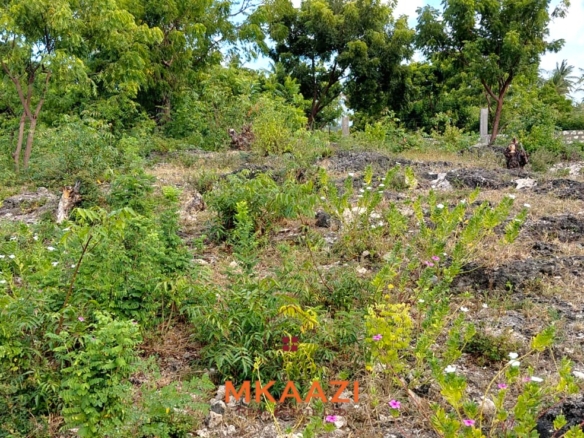 Prime 2.5-acre fully walled development land for sale near Turtle Bay in Watamu along Villa Mapenzi Road.