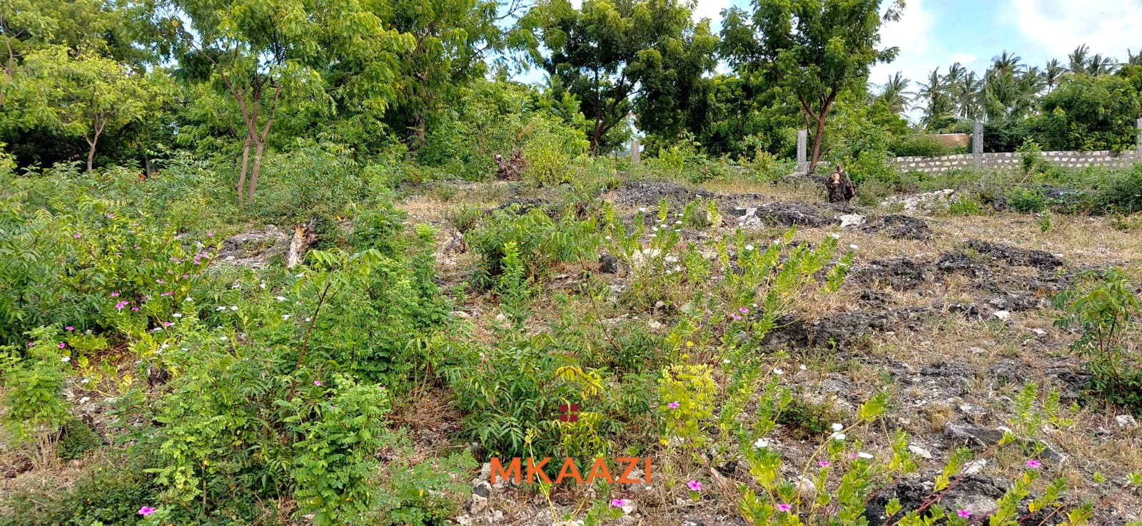 Prime 2.5-acre fully walled development land for sale near Turtle Bay in Watamu along Villa Mapenzi Road.