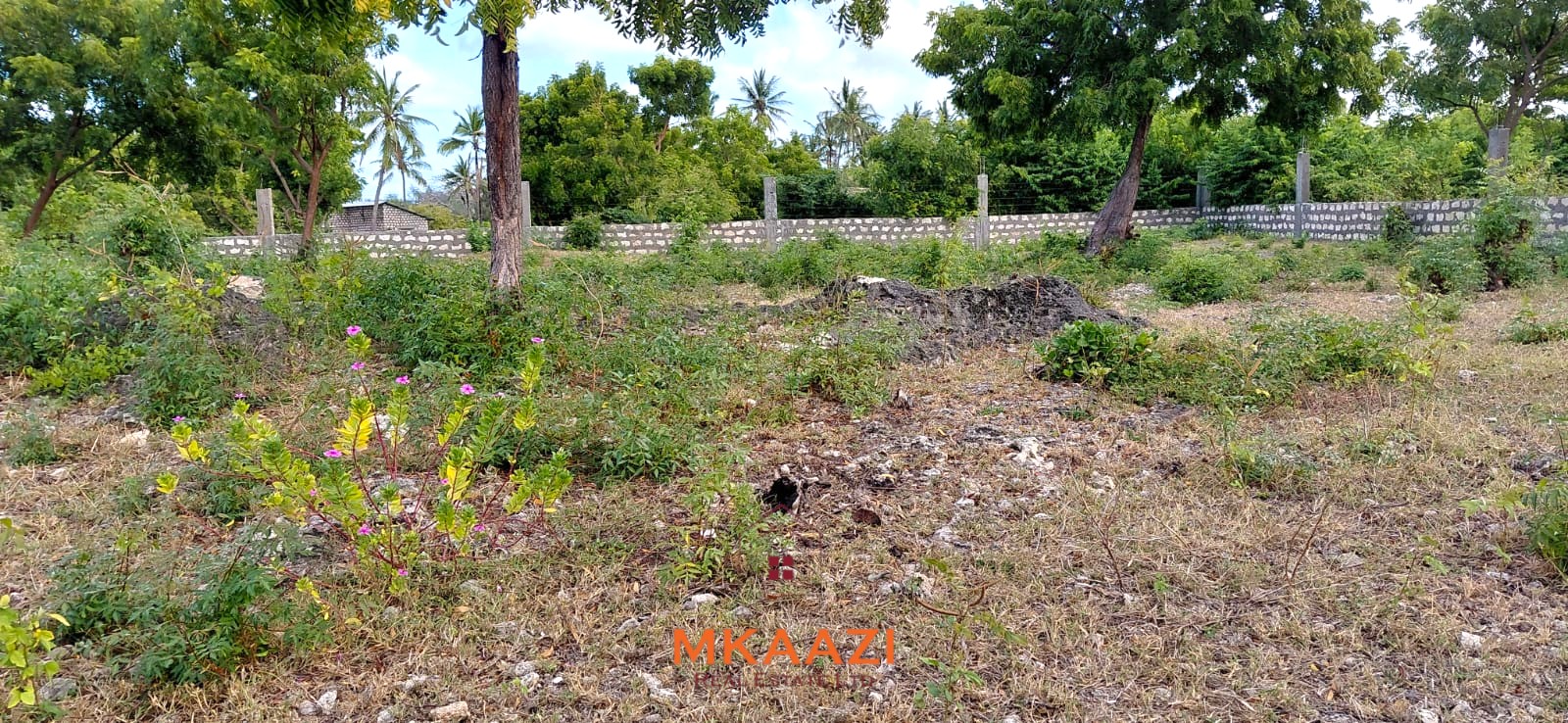Prime 2.5-acre fully walled development land for sale near Turtle Bay in Watamu along Villa Mapenzi Road.