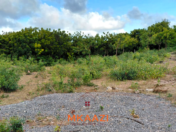 Prime 2.5-acre fully walled development land for sale near Turtle Bay in Watamu along Villa Mapenzi Road.