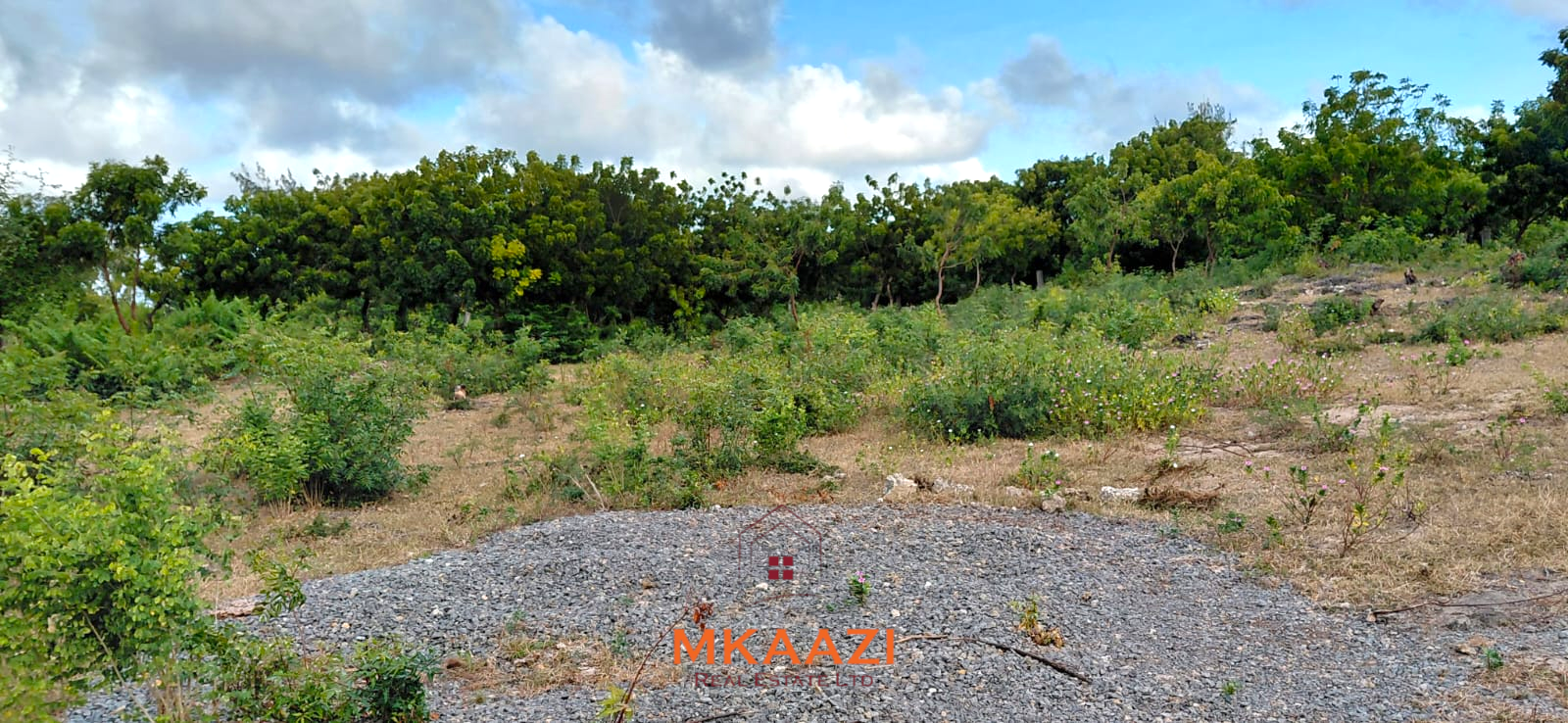 Prime 2.5-acre fully walled development land for sale near Turtle Bay in Watamu along Villa Mapenzi Road.