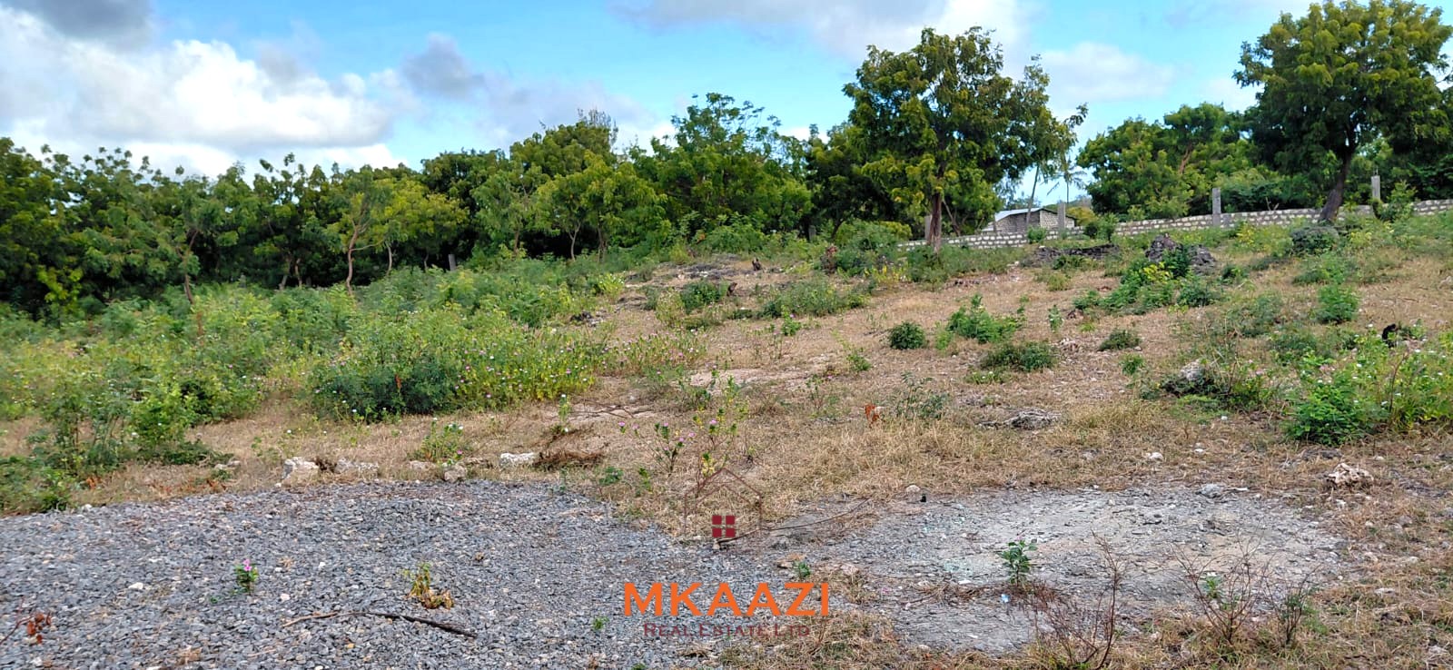 Prime 2.5-acre fully walled development land for sale near Turtle Bay in Watamu along Villa Mapenzi Road.