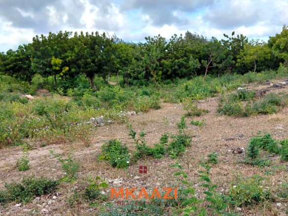 Prime 2.5-acre fully walled development land for sale near Turtle Bay in Watamu along Villa Mapenzi Road.