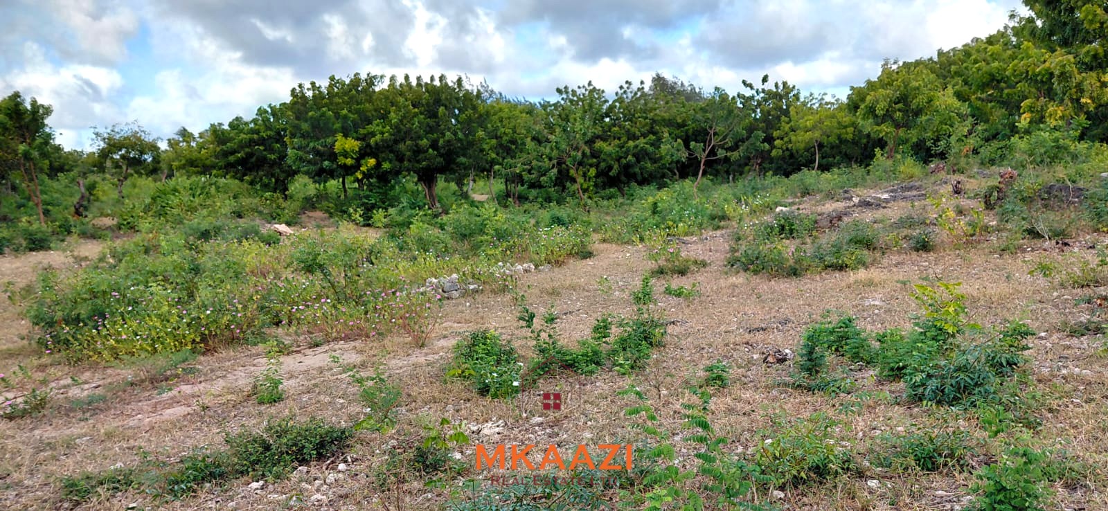 Prime 2.5-acre fully walled development land for sale near Turtle Bay in Watamu along Villa Mapenzi Road.
