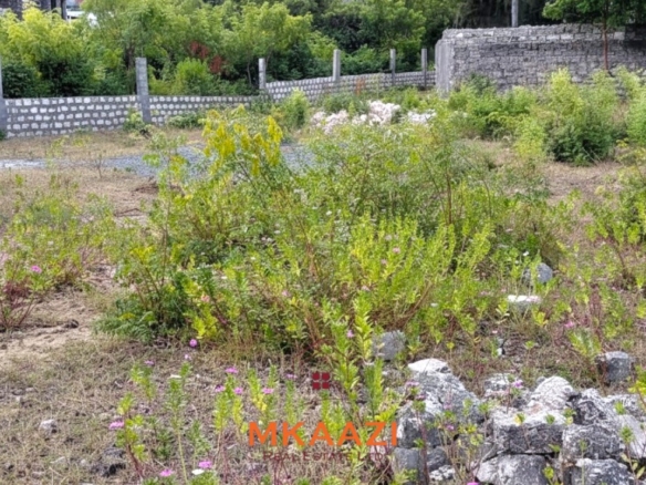 Prime 2.5-acre fully walled development land for sale near Turtle Bay in Watamu along Villa Mapenzi Road.