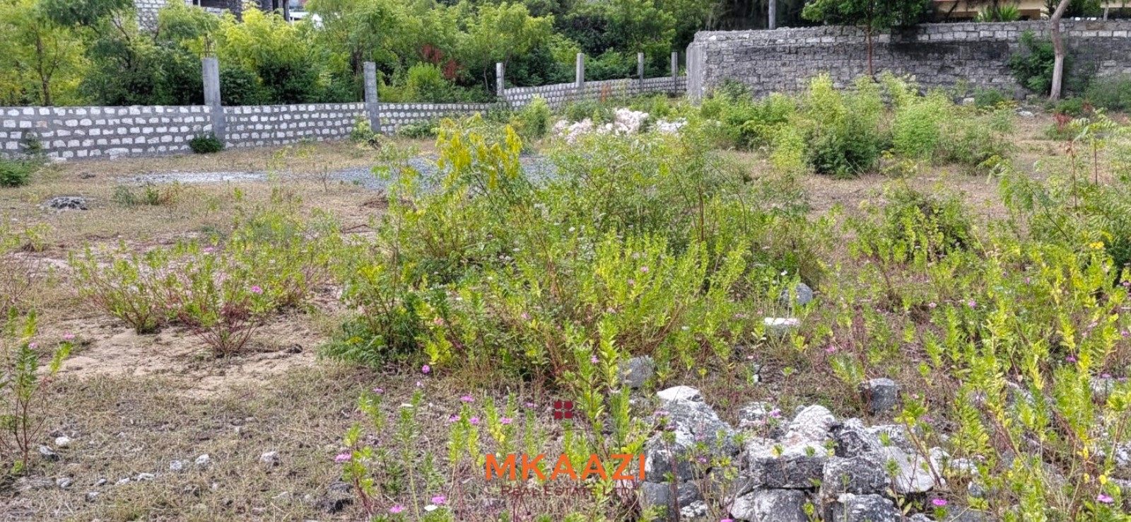Prime 2.5-acre fully walled development land for sale near Turtle Bay in Watamu along Villa Mapenzi Road.